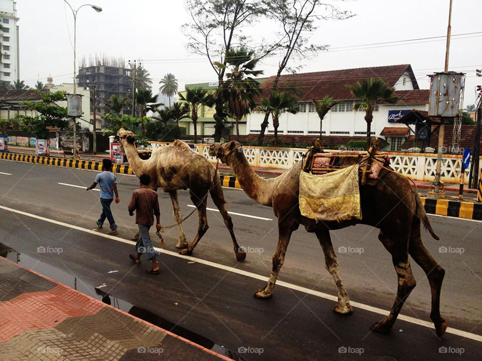 streets in new delhi