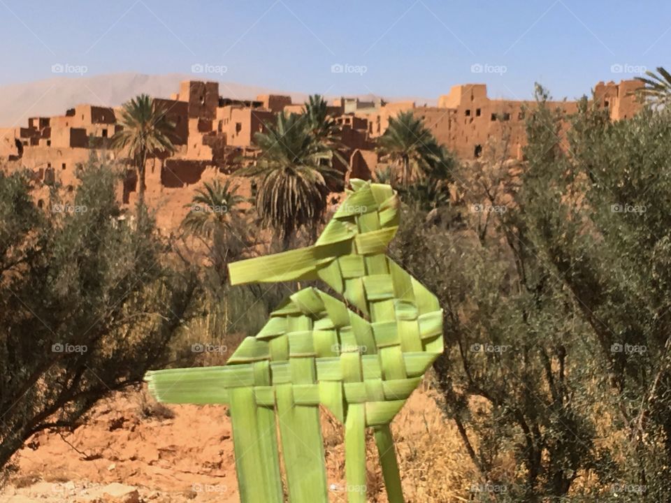 No Person, Architecture, Travel, Desert, Tree