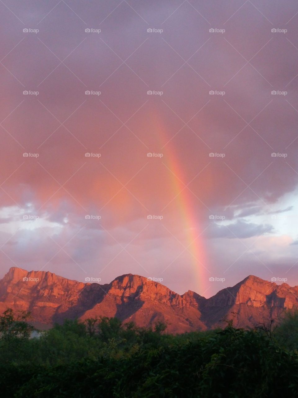 Arizona desert sunset with rainbow. Beautiful rainy sunset 