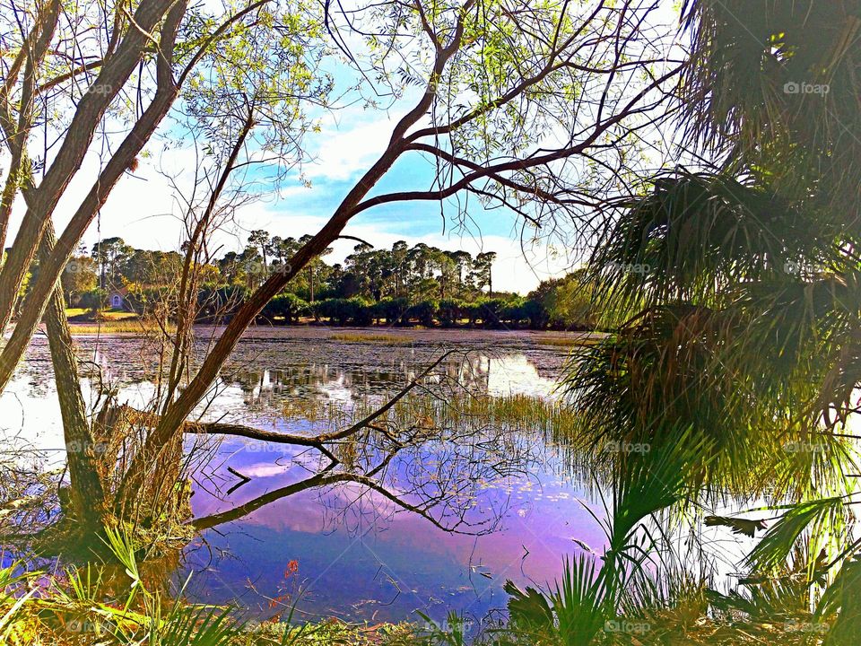 Lakeside colors