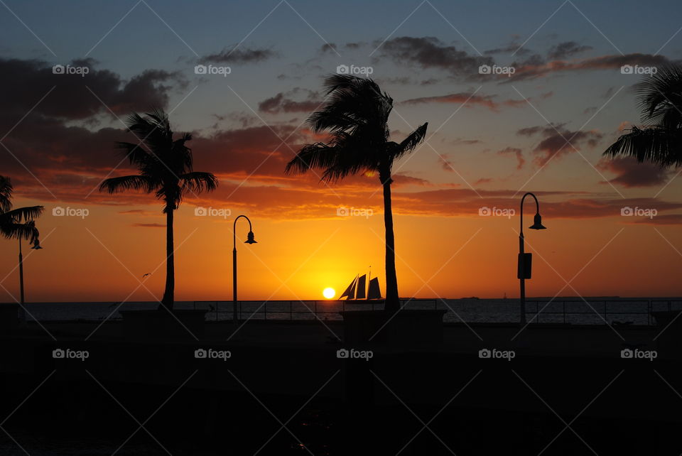 Sunset and palm trees