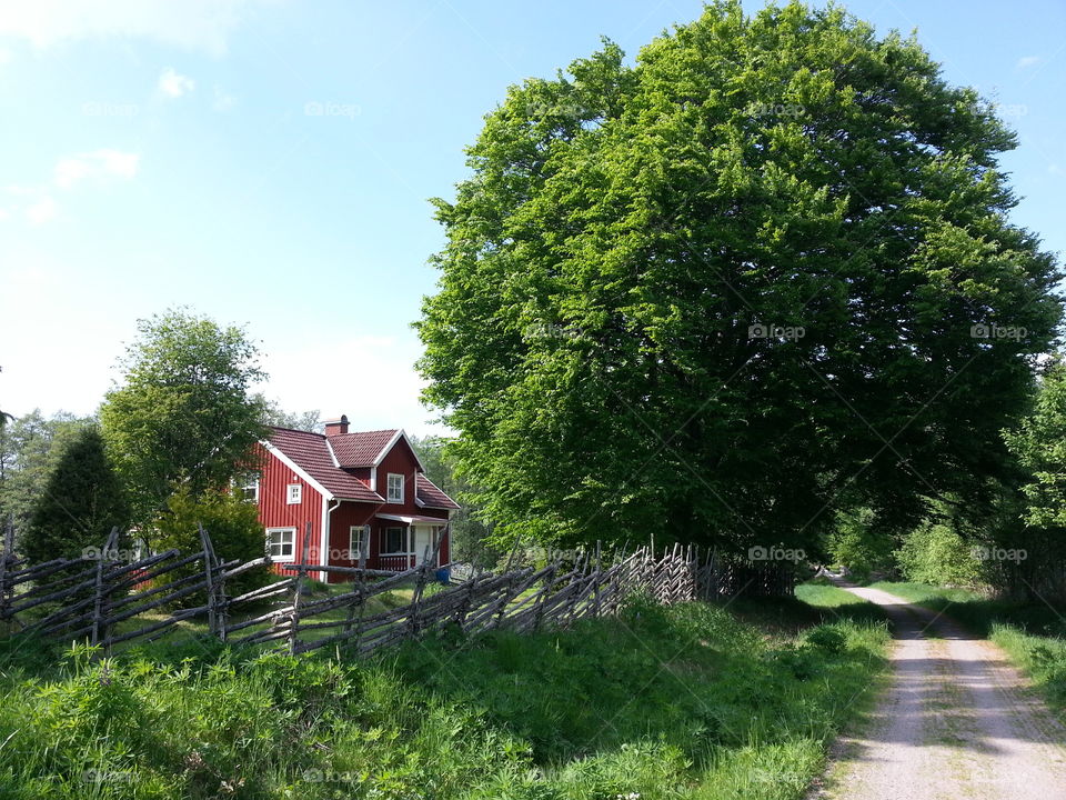 Swedish landscape