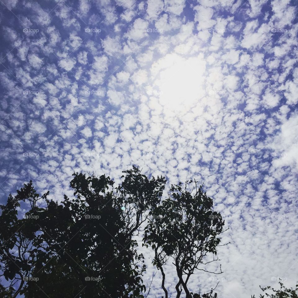 I took this picture of these unusual clouds from my garden during summer 2016. 