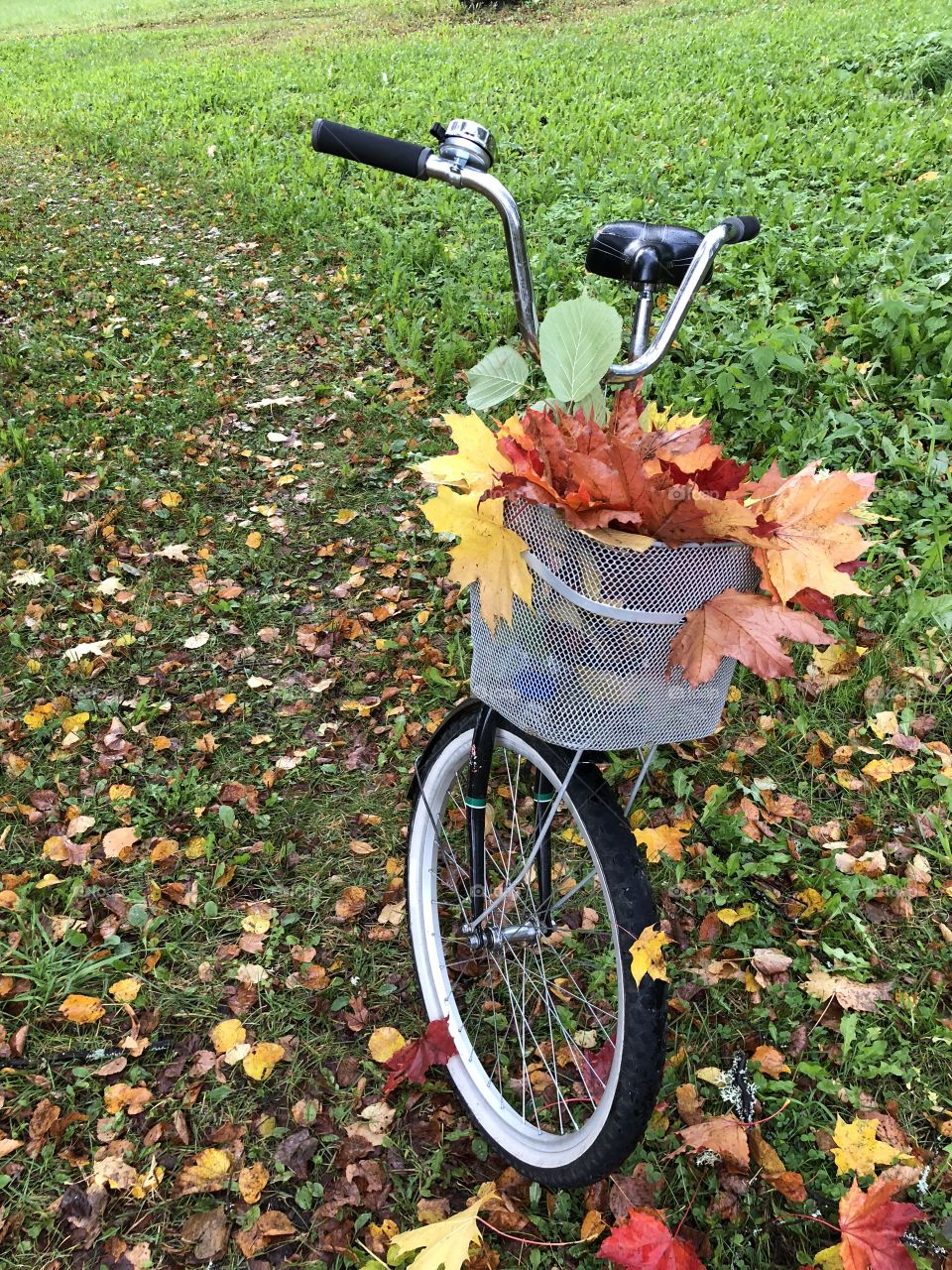Bicycle with autumn leaves 