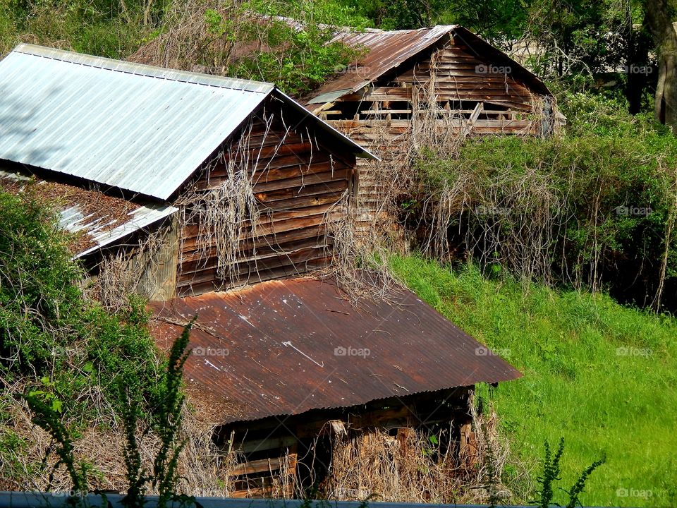 old abandoned farm buildings in the Georgia countryside