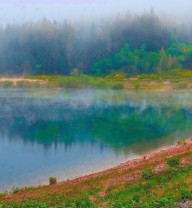 Nature's wonder