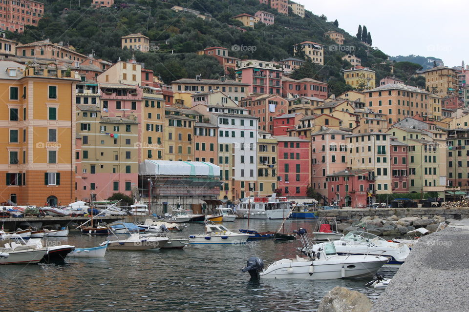 Camogli