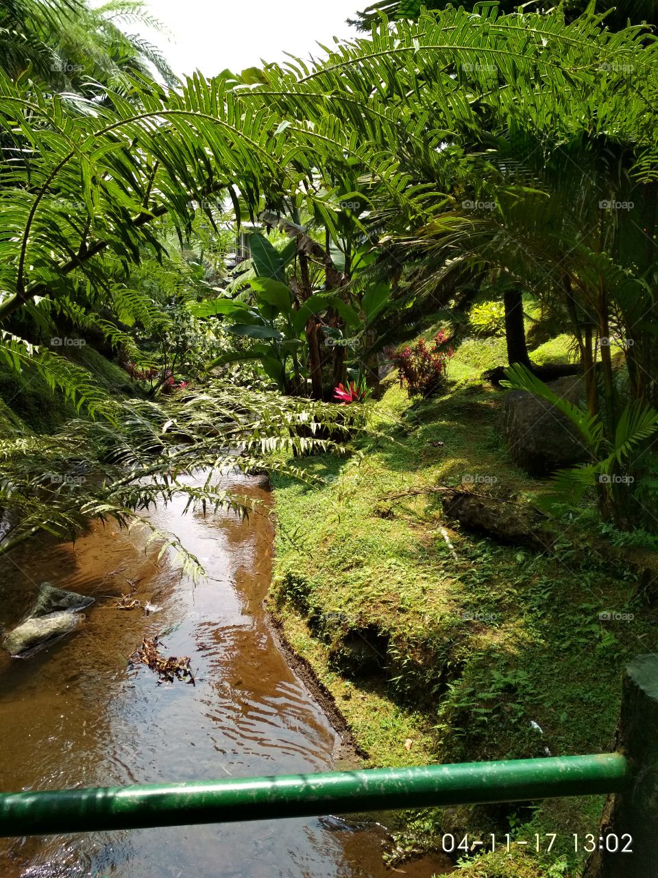 The jungle in karanganyar central java