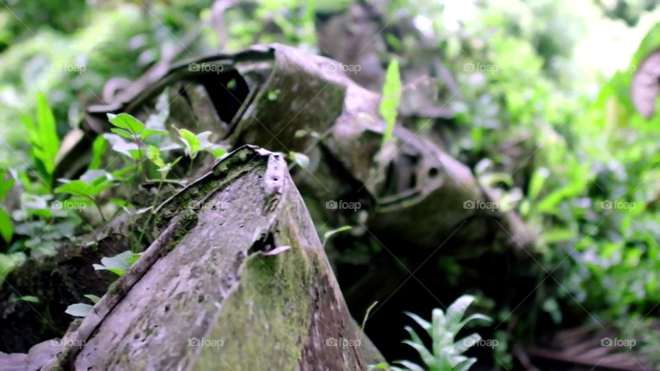 Resti di un aereo, Isola senza nome, Giappone