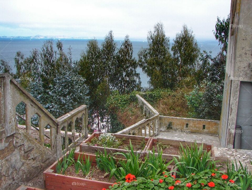 Alcatraz gardens