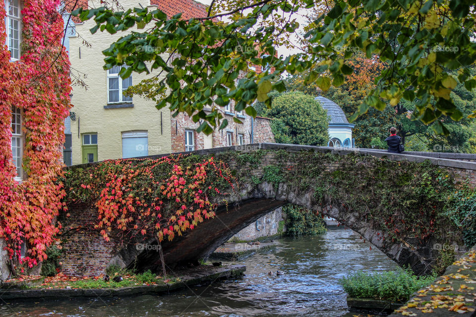 Colorful autumn