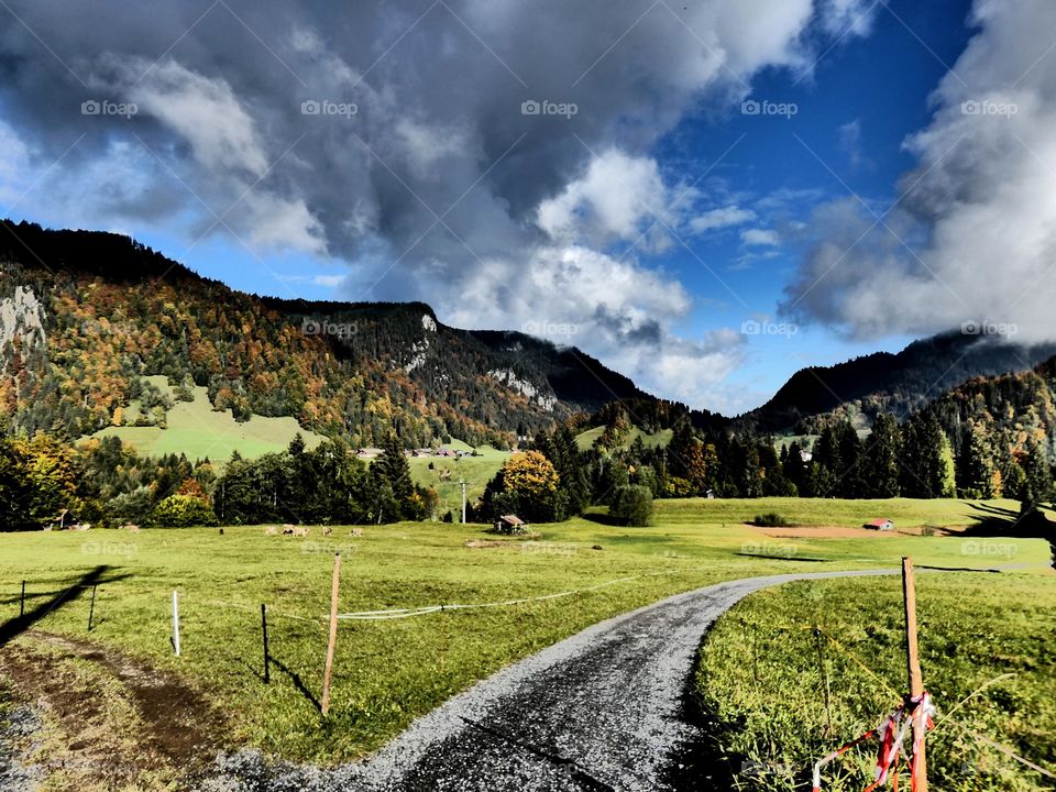 Way thrue the valley