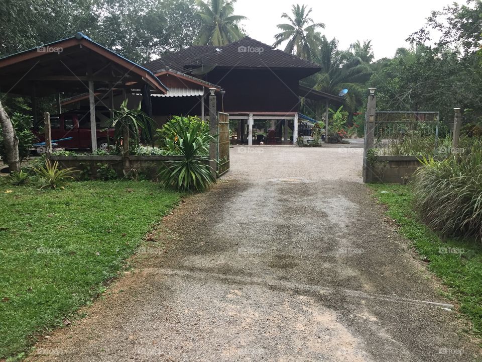 Home, House, Guidance, Tree, No Person