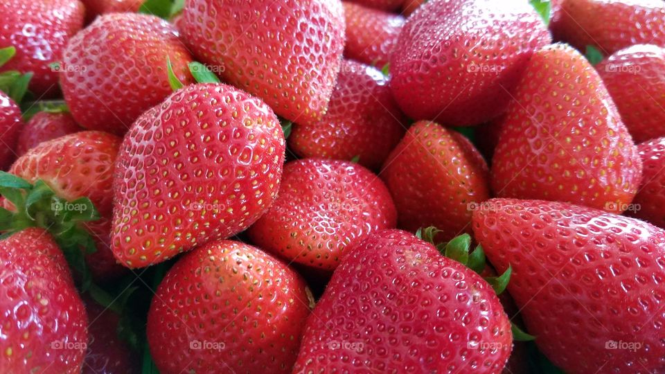 Fresh strawberries