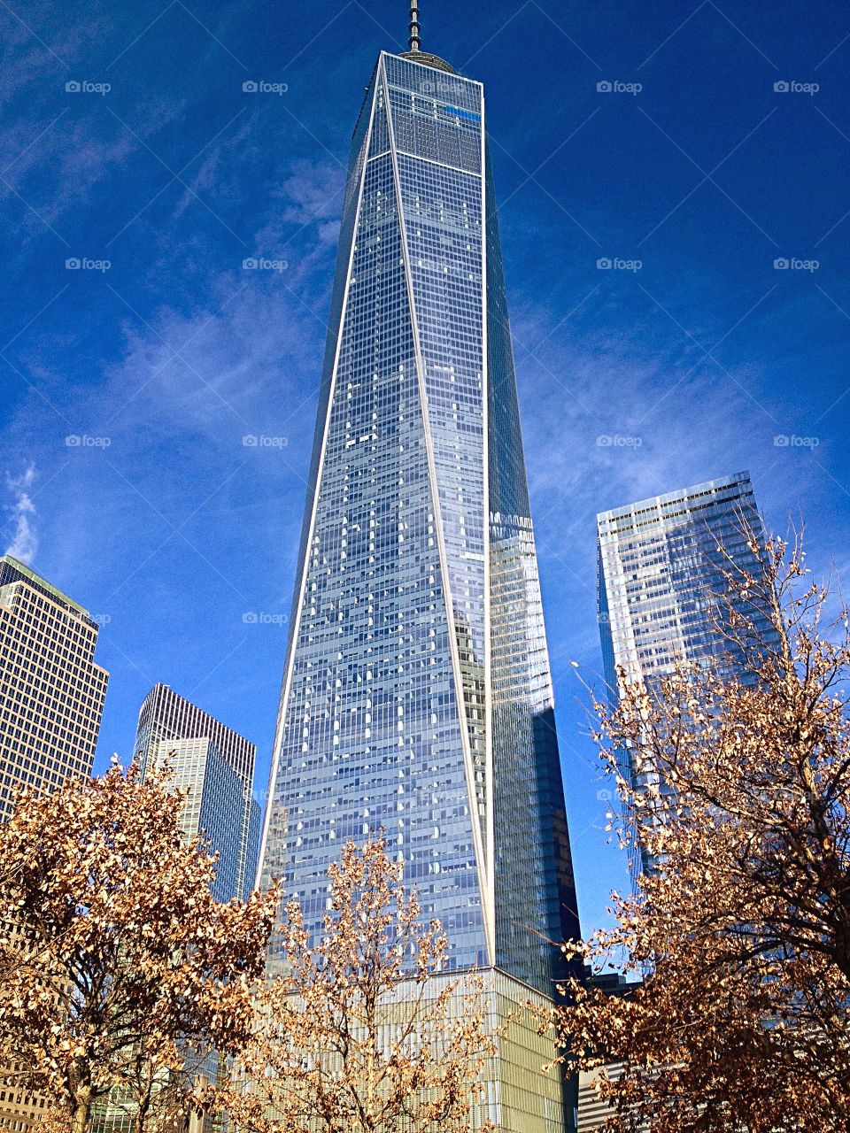 Freedom Tower in NYC