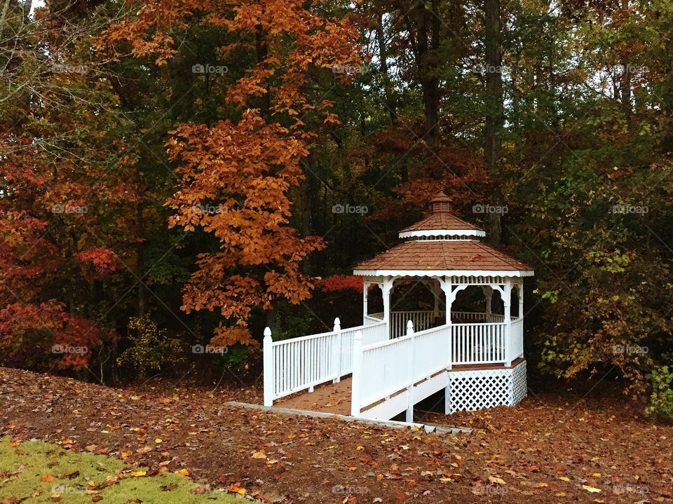 Gazebo in Autumn