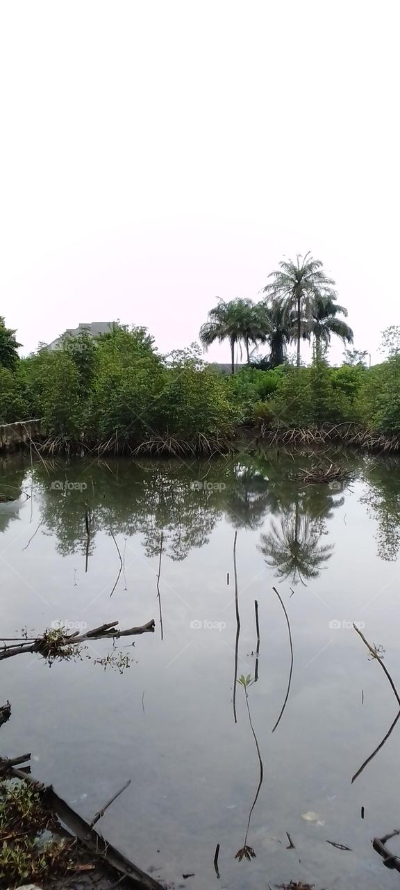 natural, beautiful, Bright, colorful