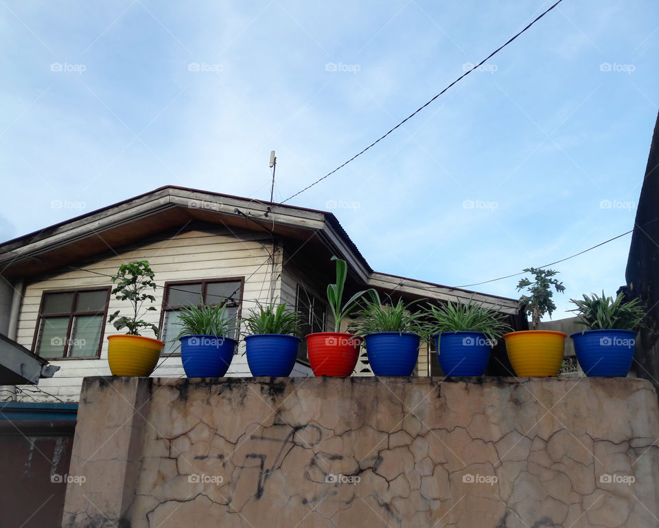 just passed by this house with these nice pots on my way home..