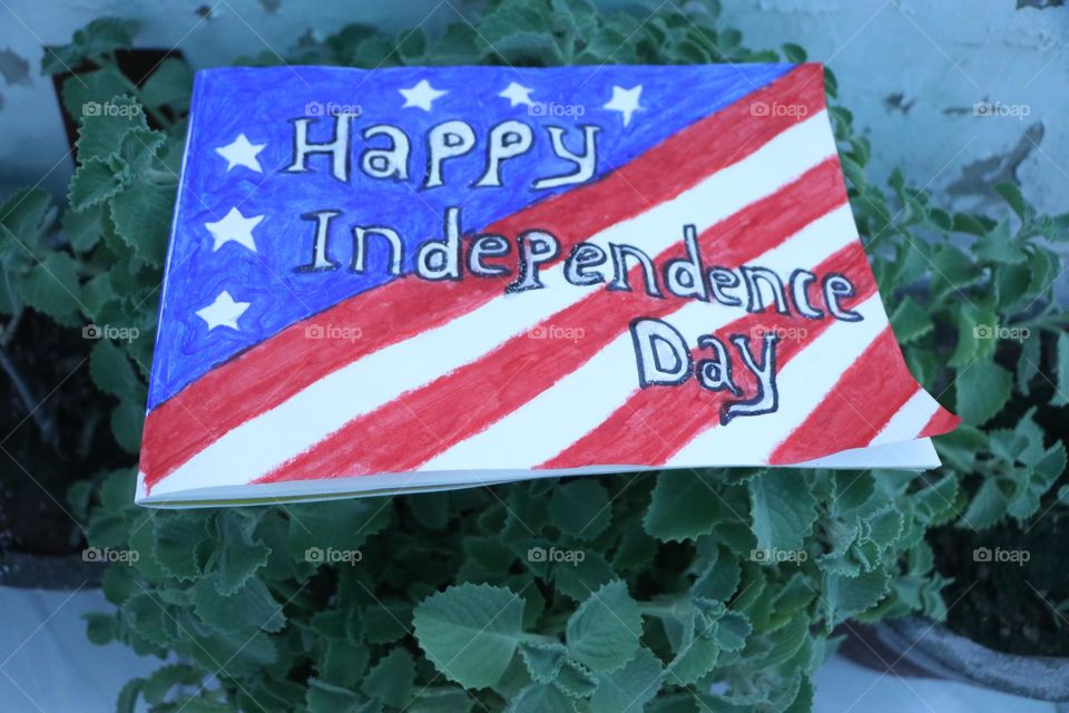 celebrate the freedom of America