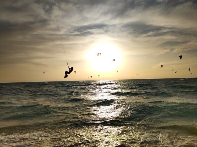 Just fly