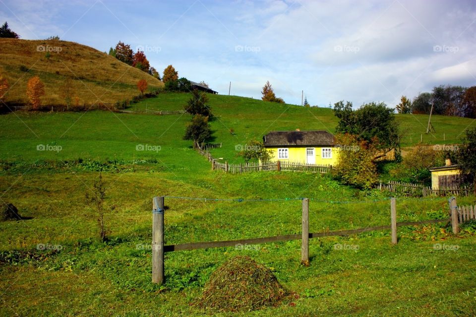 Landscape, Fence, No Person, Farm, Tree