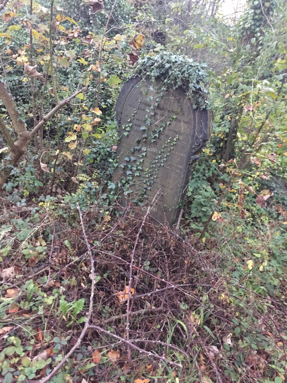 Spooky grave 