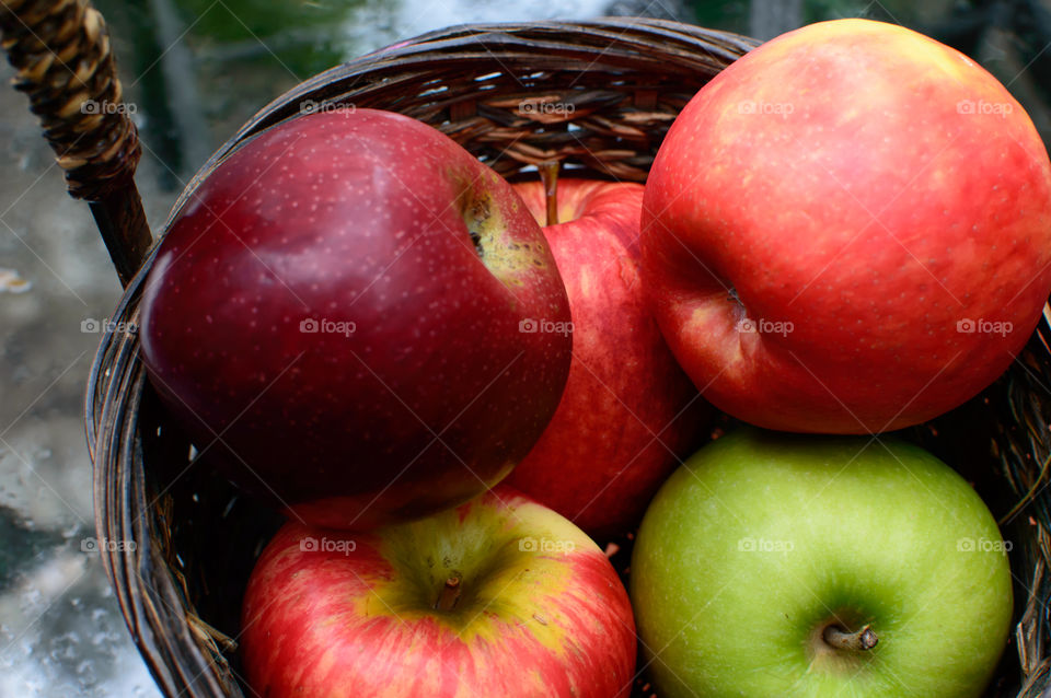 Basket of mixed colorful apples on rainy day outdoors conceptual healthy lifestyle and diet apple picking food photography 