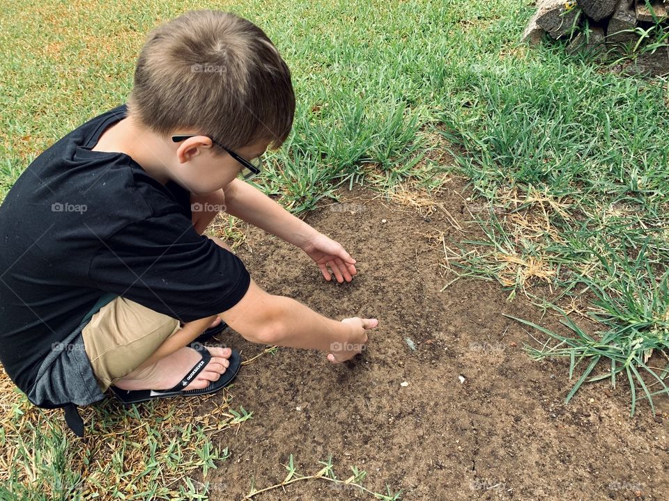 Young boy planting a seed