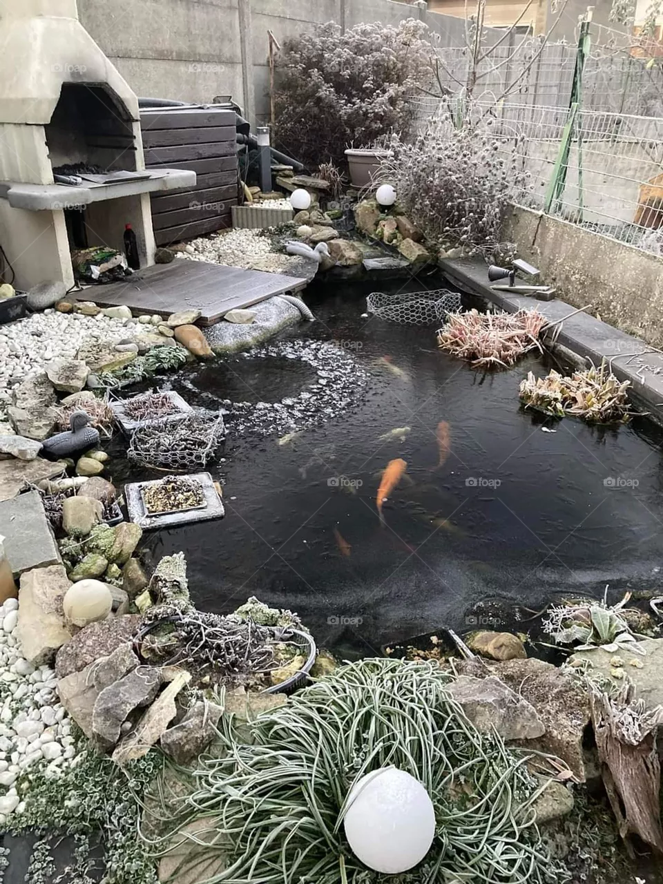 Ponds