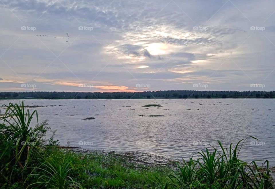 scenery creating the water storage in agriculture field and evening sky