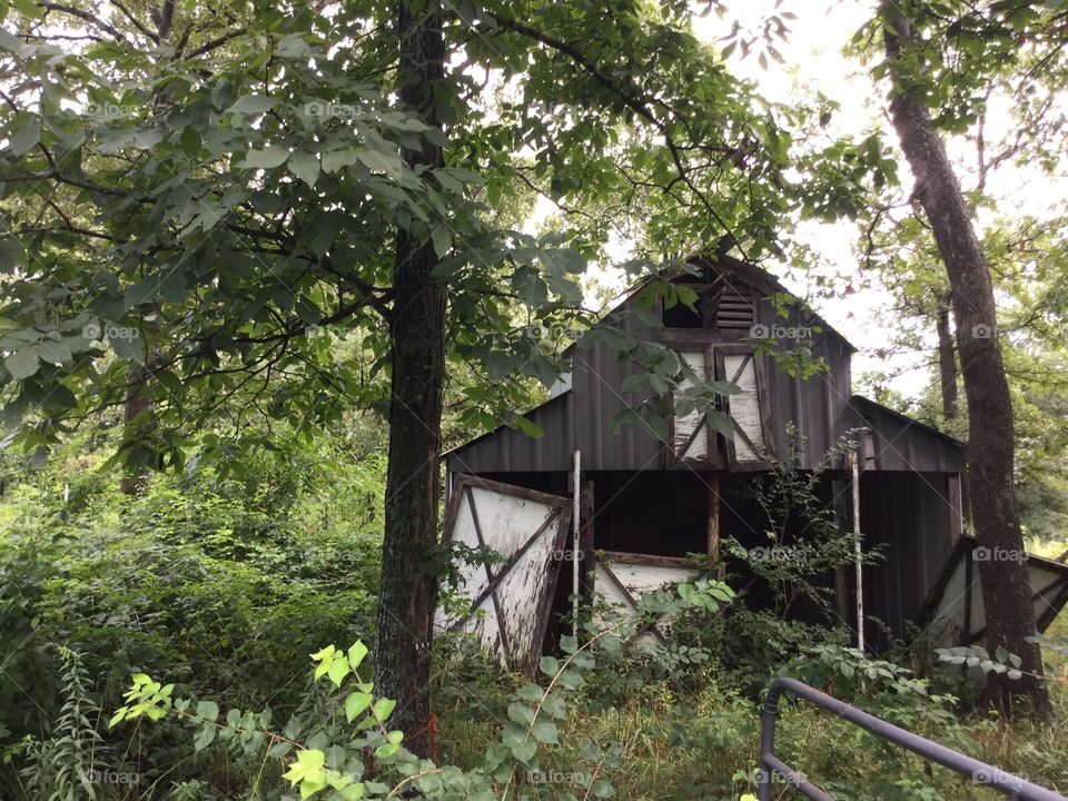 Old barn