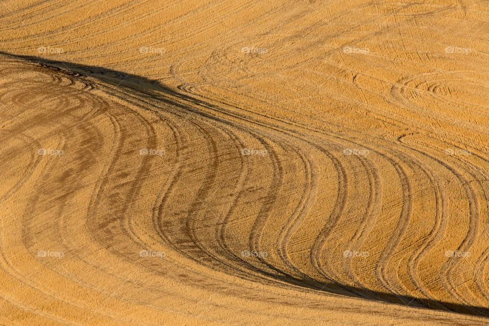 Autumnal field