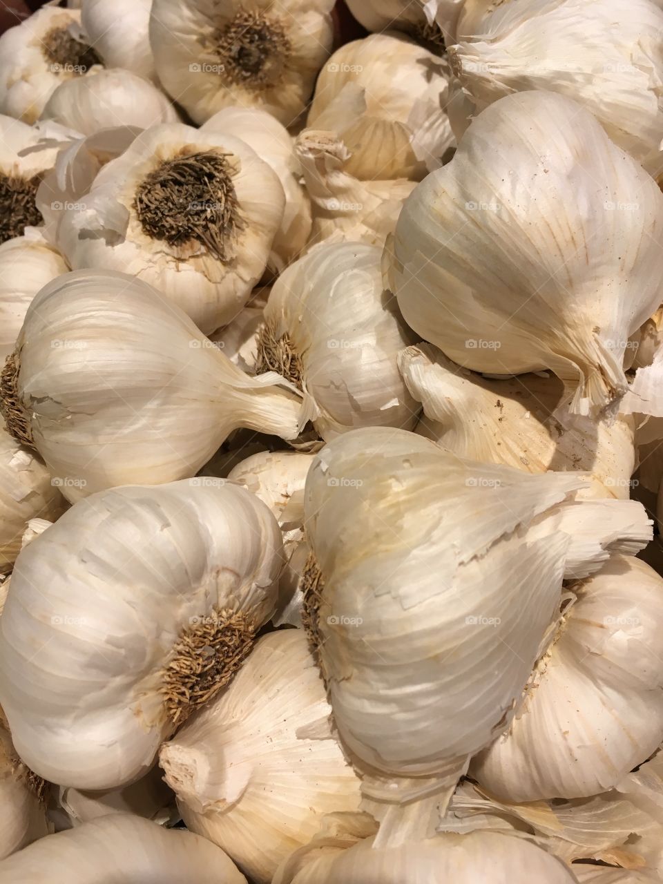 Garlic closeup in a bin