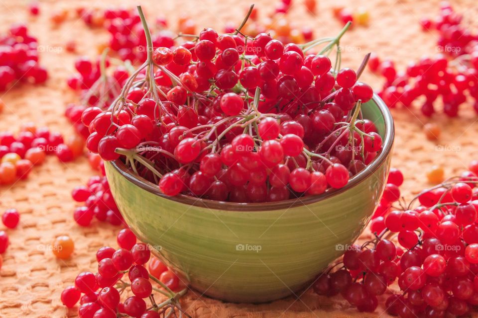 Red viburnum berries lie on a green plate