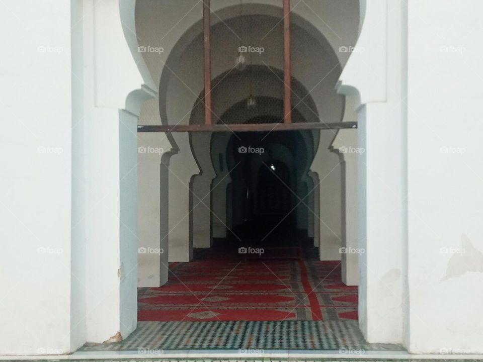 Université alkaraouyin. (Founded in 859 by Fatima Al-Fihriya, Al Quaraouiyine University of Fès (UAQ Fès) is a university located in Fez and considered to be the oldest in the word)