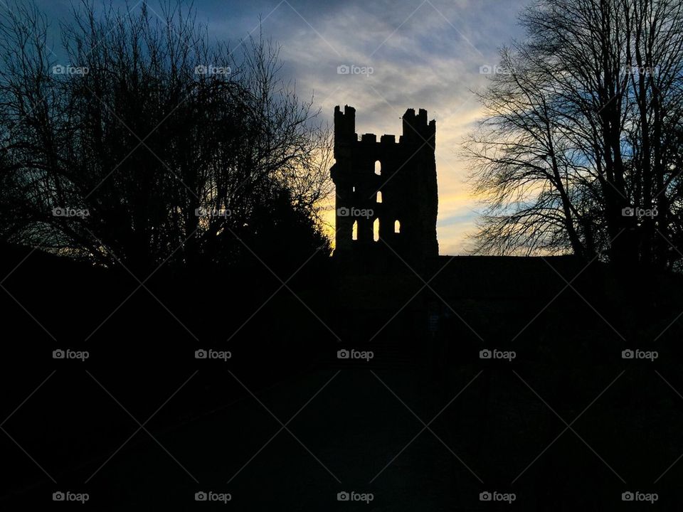 Silhouetted Tower and Trees. 