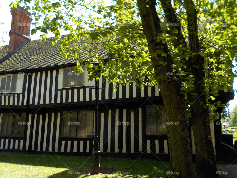 "Zebra type" of an old building 😁