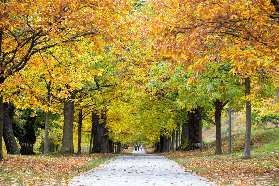 beautiful Blankenburg, DE