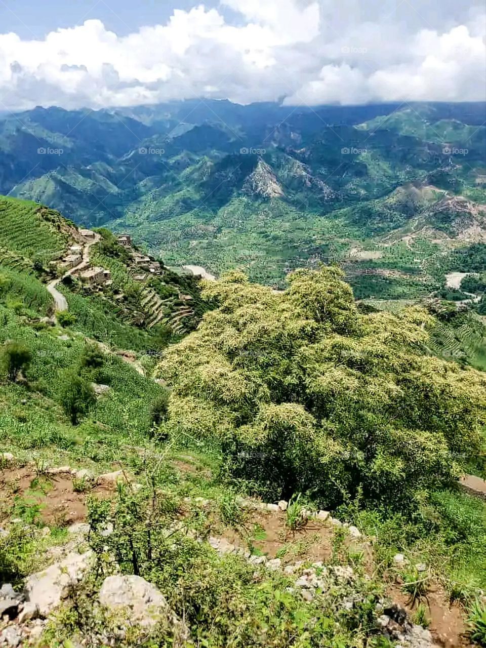 Glory be to God, the magnificent and picturesque view and the natural green trees are a view that is nothing more wonderful than it