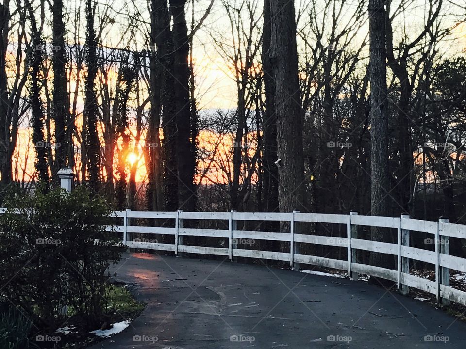 Fence at Sunset