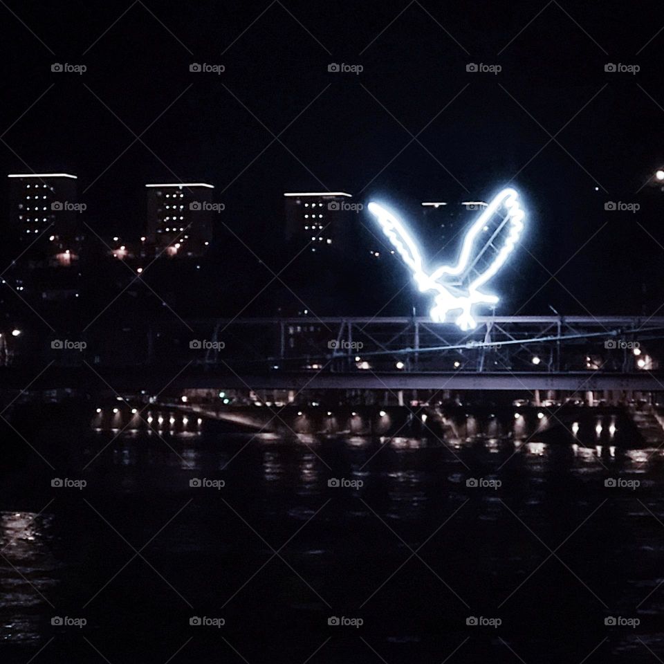 Festival of lights, Lyon, France