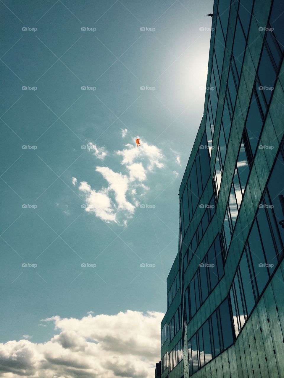 Kite. Flying kite