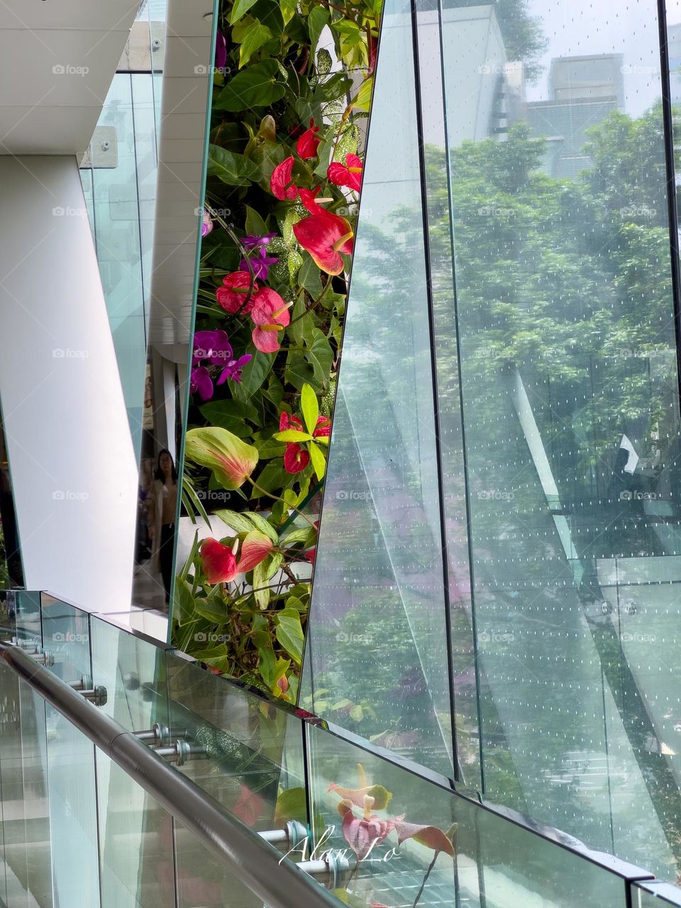 A mirror reflection of flowerbed inside a commercial building. Natural and man-made substances coexist harmonically.