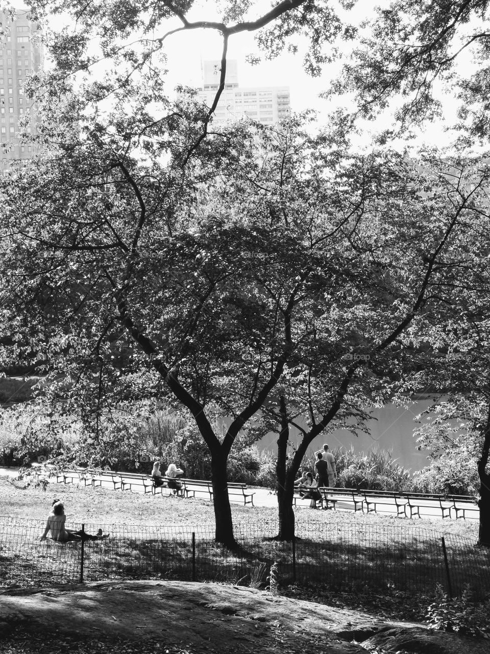 Summer day at the park. A moment with family, friends or a time with yourself.