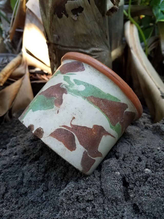 Beauty in nature