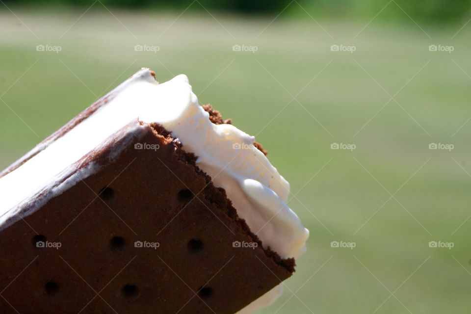 Close-up of ice cream sandwich