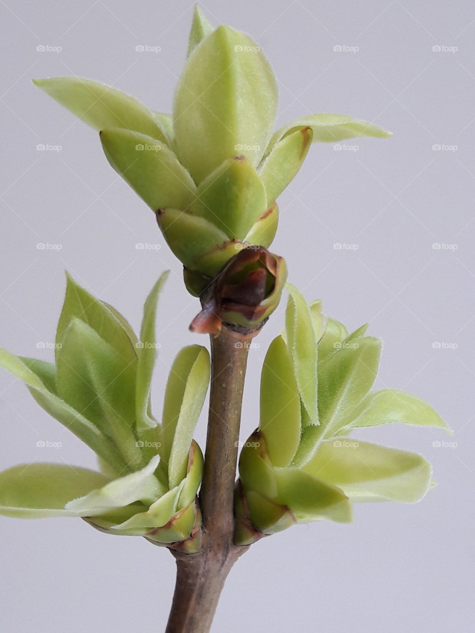 all about wild nature and weather