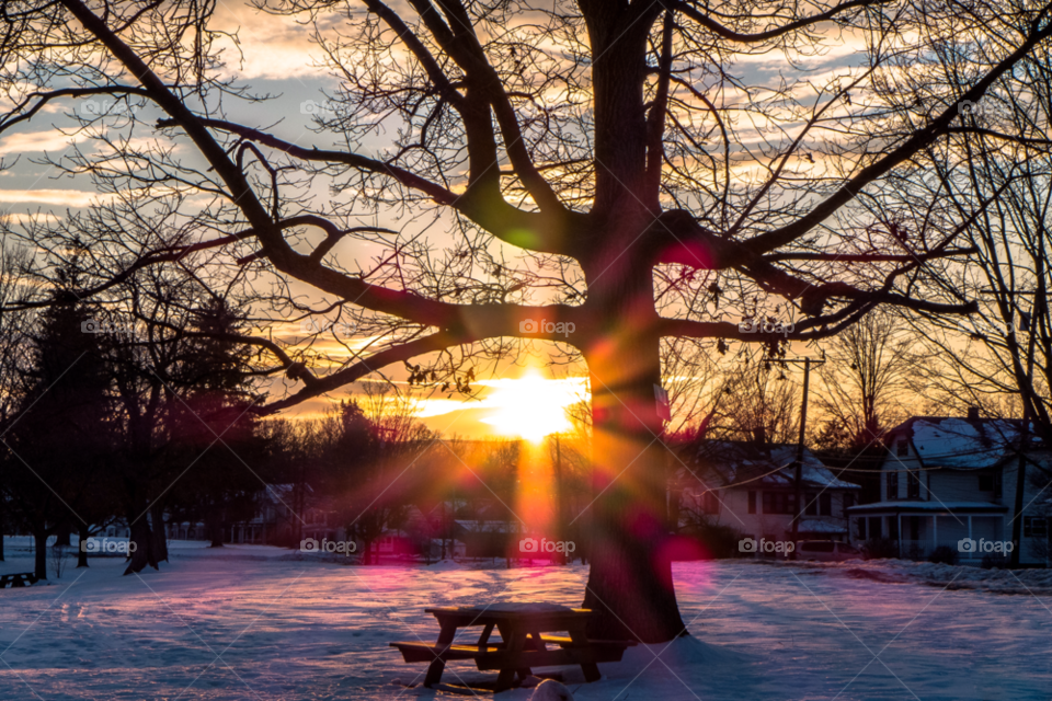 snow winter tree sunset by delvec