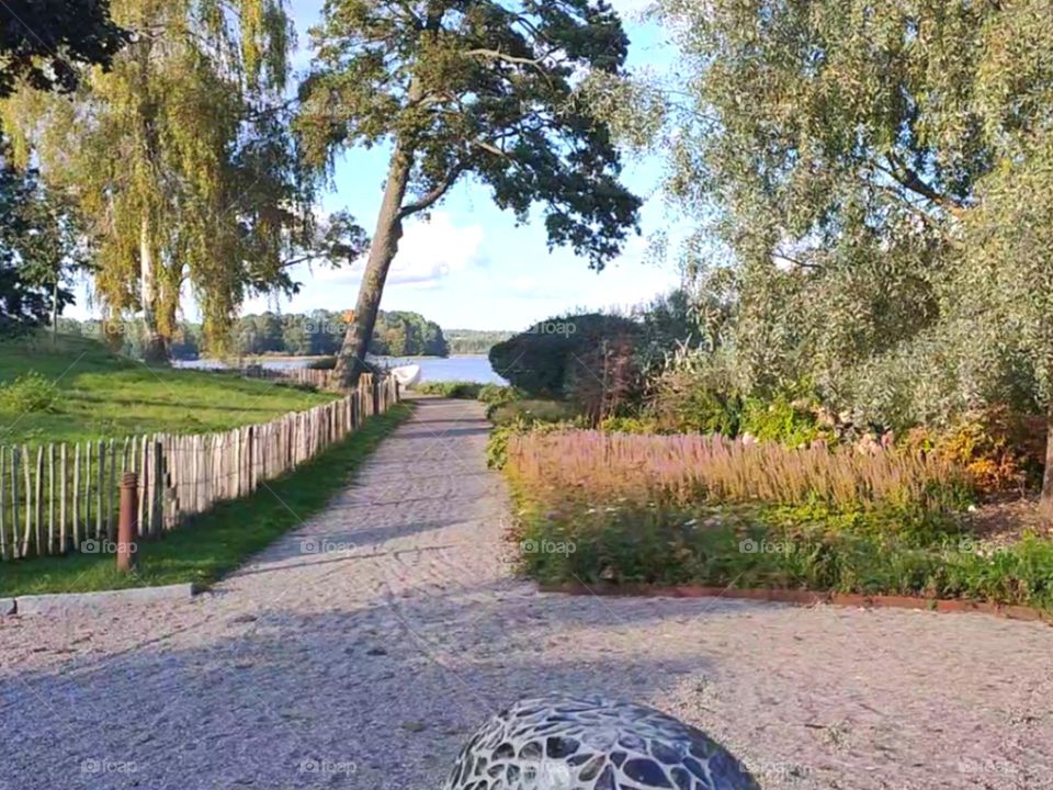 landscape || Trees || Garden