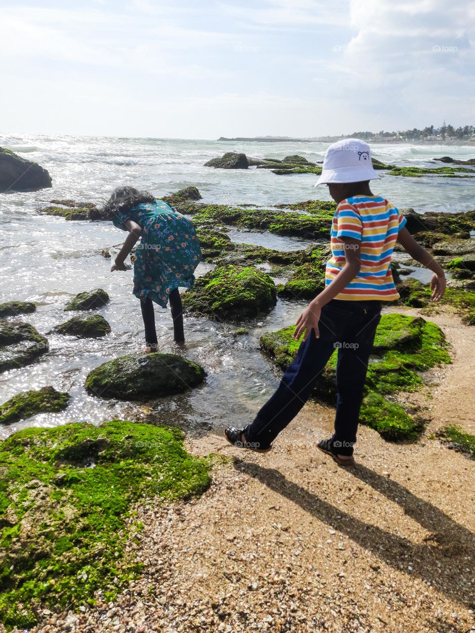 Children Collecting shells from the beach